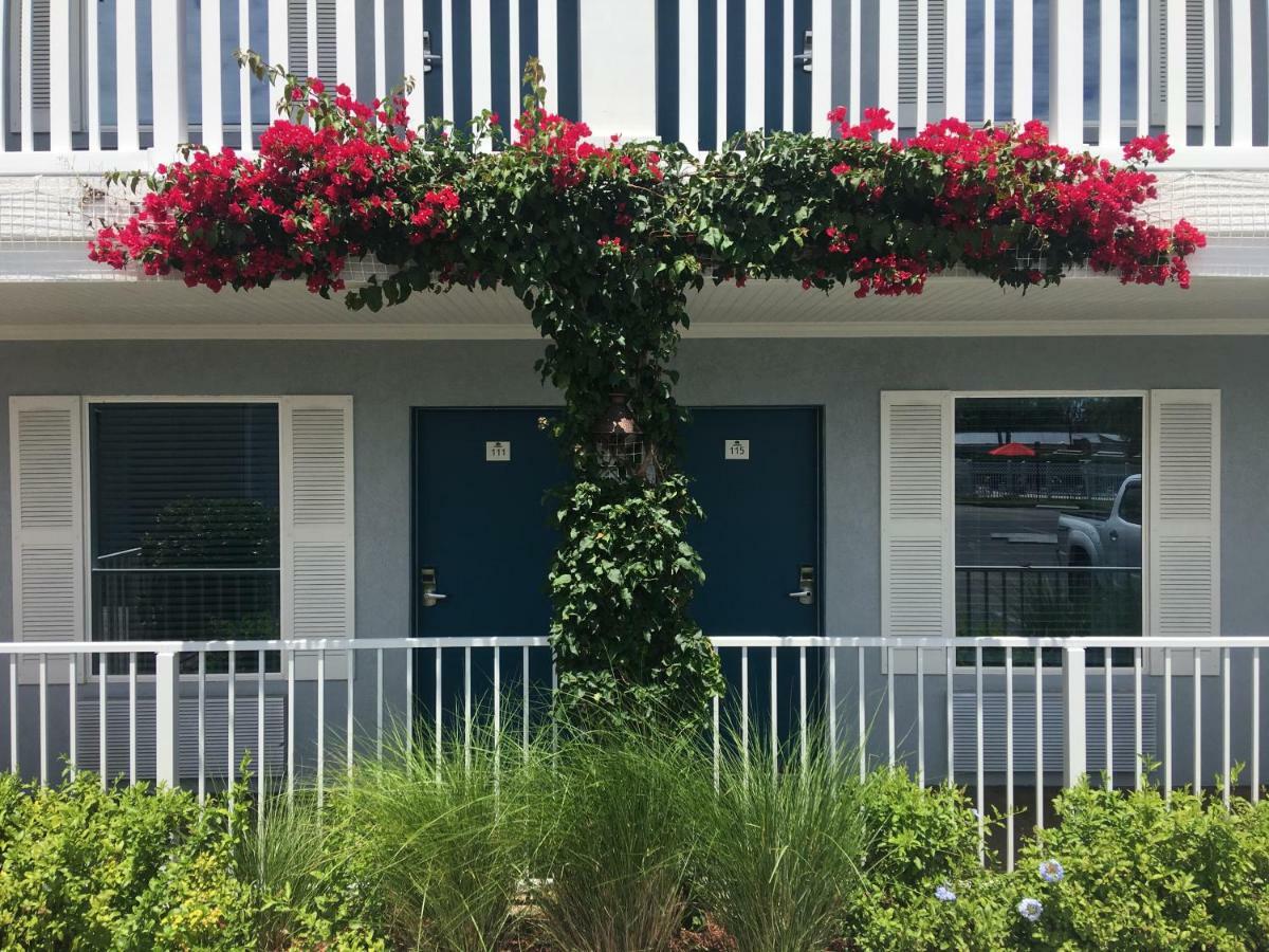 Southern Oaks Inn - Saint Augustine Экстерьер фото